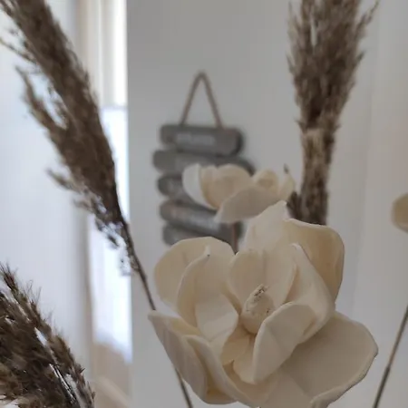 Résidence Manivi Appartement Beaupréau-en-Mauges