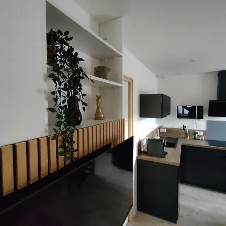 Apartament Manivi *